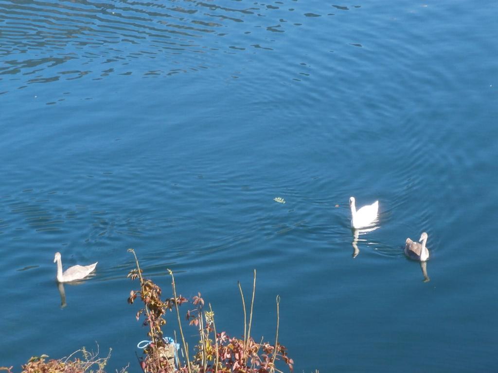 Ferienwohnung Haus Freitag Millstatt am See Exterior foto